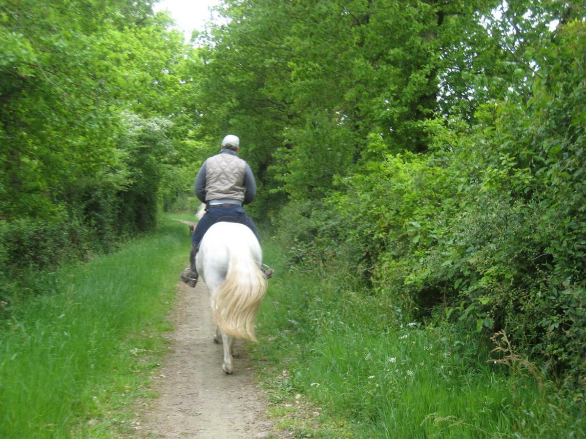 Saint-Hilaire-de-Loulay Relais De Chasse La Chaignaie المظهر الخارجي الصورة